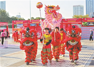 廣州首個(gè)迎春花市增城開(kāi)鑼 持續(xù)開(kāi)放至1月28日