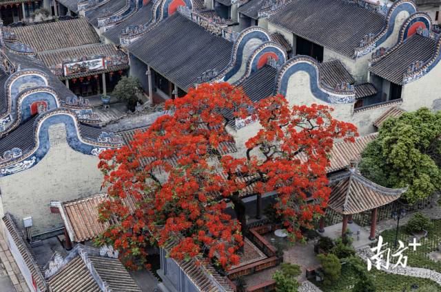 白云龍歸街南村村：文化“蓮”心，以“荷”動人