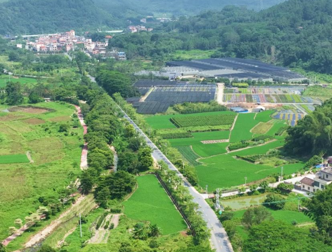 廣州將打造2500公里鄉(xiāng)村風景道 重塑鄉(xiāng)村價值