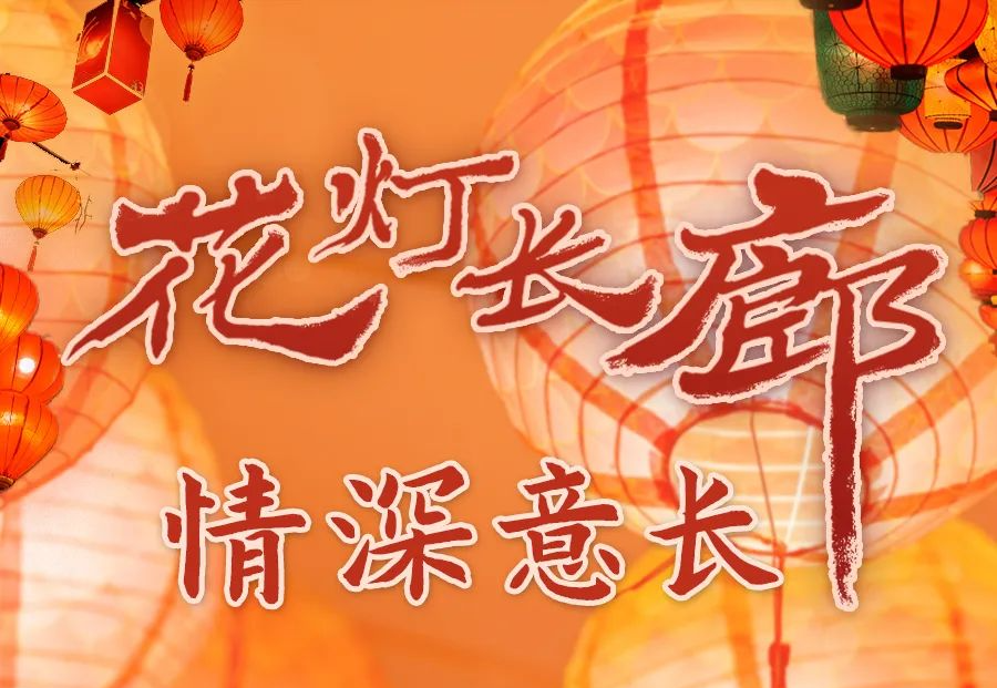 學習進行時丨花燈長廊 情深意長