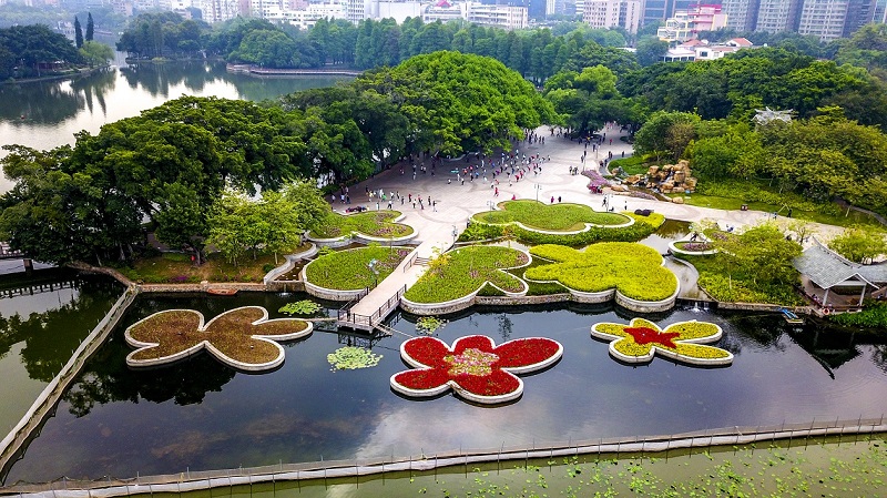 流花湖公園將有新動(dòng)作 建廣東首個(gè)國際盆景交流中心