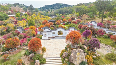 廣州農(nóng)業(yè)正在田間地頭書寫著數(shù)字化、智能化新篇