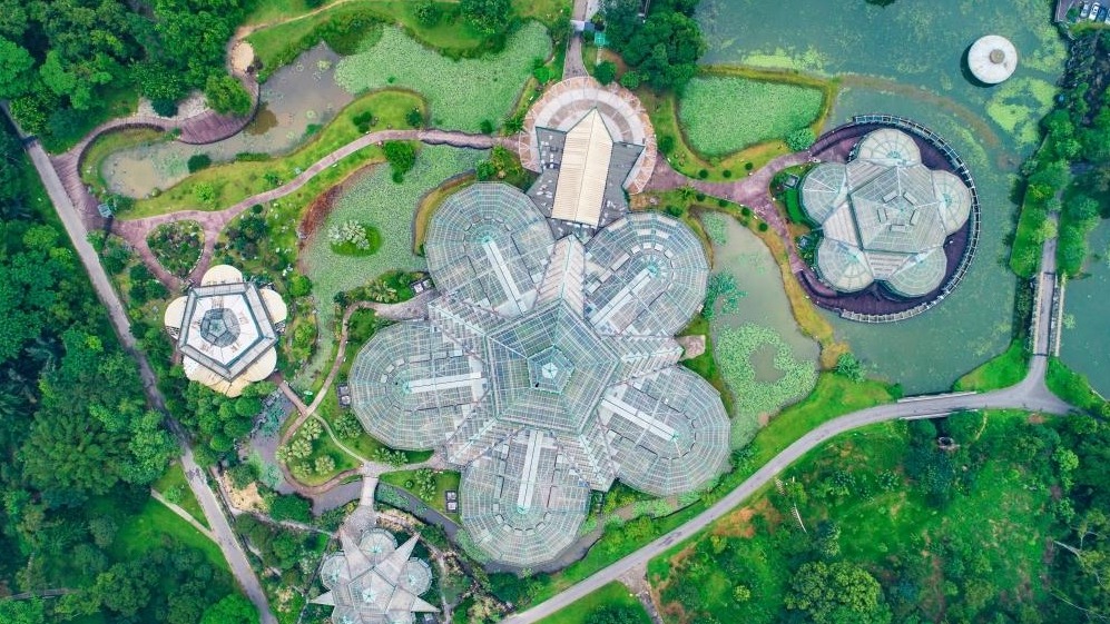 中國科學(xué)院華南植物園碳匯研究取得重大成果