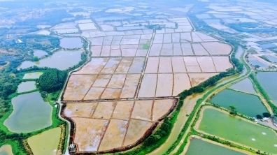 廣州市耕地保護(hù)規(guī)劃征詢意見(jiàn)