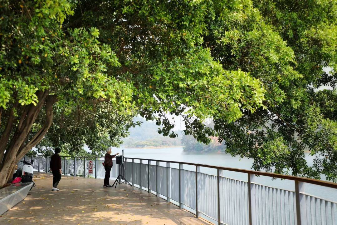 散步、慢跑、騎行、觀景！快來(lái)打卡廣州和龍水庫(kù)碧道