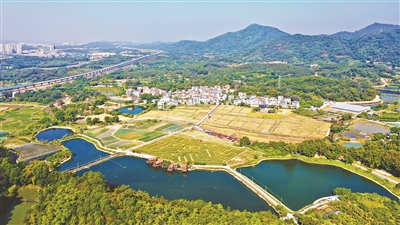 執(zhí)文旅之筆 繪振興藍圖