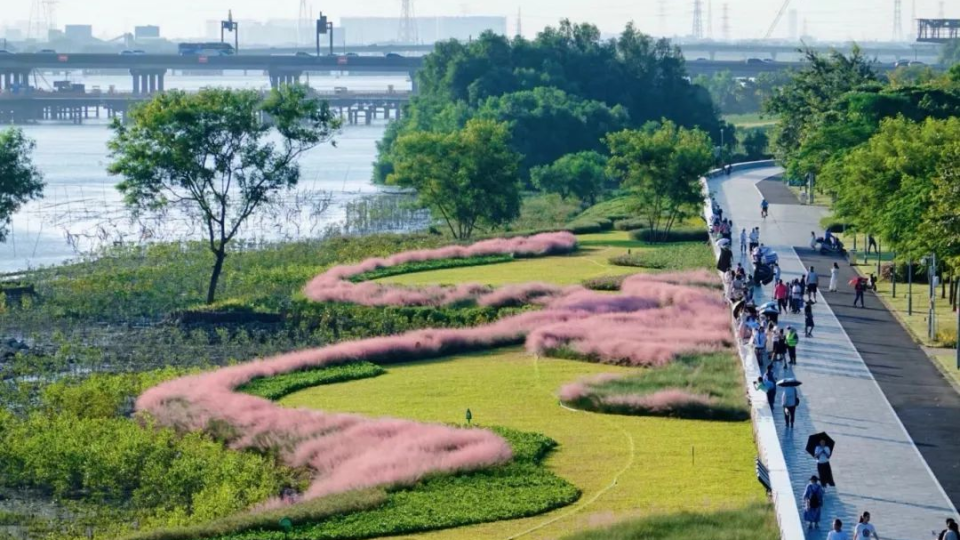 2025年海洋生態(tài)保護(hù)修復(fù)典型案例評(píng)選結(jié)果出爐 南沙濕地生態(tài)修復(fù)案例入選