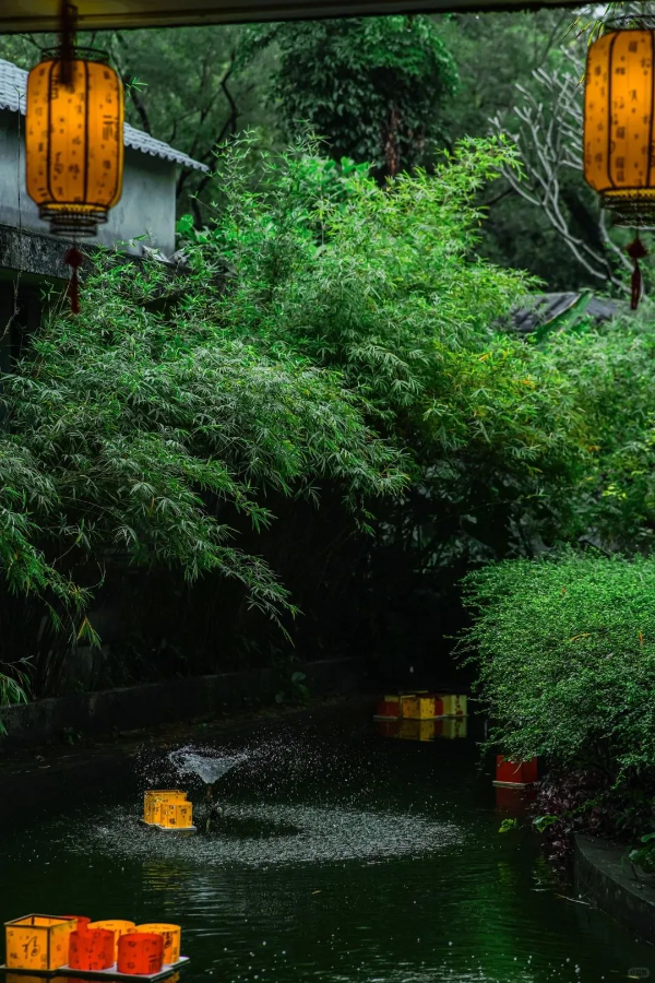 廣州拍照·不是蘇州！是廣州鬧市的避世園林??_9_背著相機去行走??_來自小紅書網(wǎng)頁版.jpg
