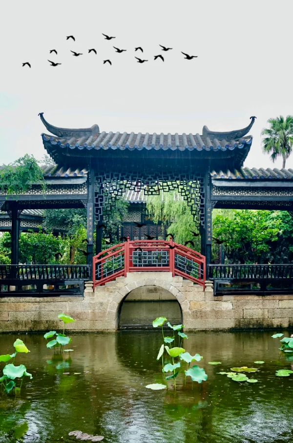 雨天的廣州余蔭山房，拍照太有氛圍感了！_2_小桑哥_來自小紅書網(wǎng)頁版.jpg