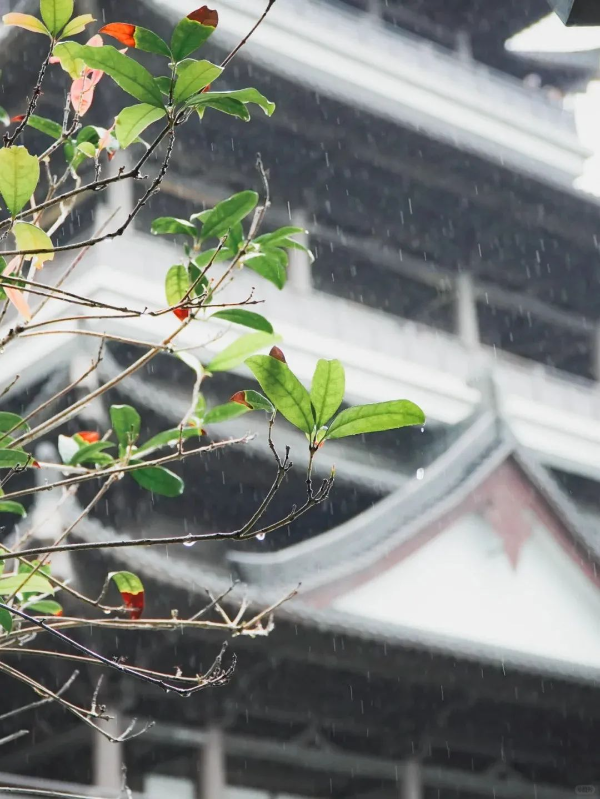 ??下雨天廣州市文化館的打開方式_6_廣州市文化館_來自小紅書網(wǎng)頁版.jpg