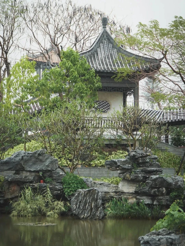 ??下雨天廣州市文化館的打開方式_7_廣州市文化館_來自小紅書網(wǎng)頁版.jpg
