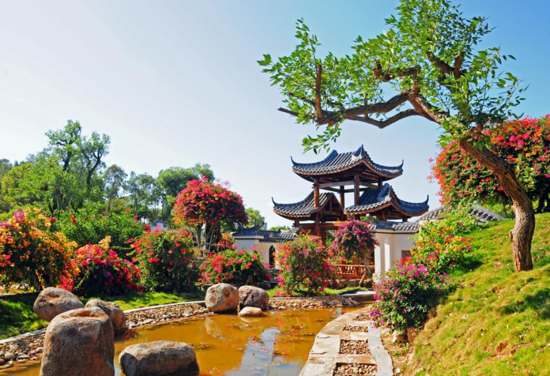 圖片