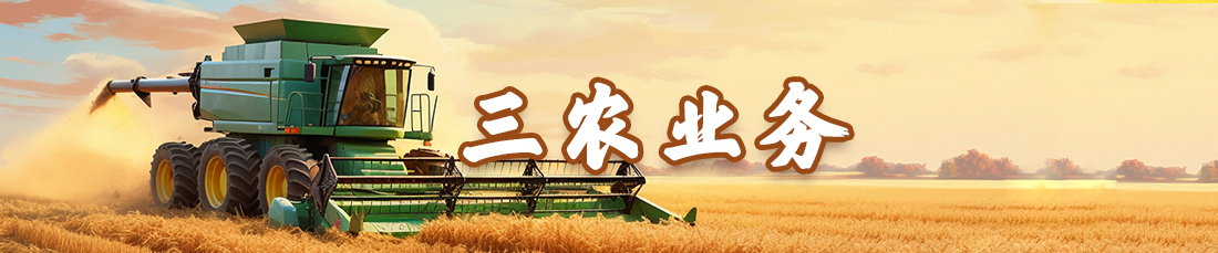 三農(nóng)業(yè)務